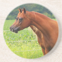 Untersetzer des Geisterbild-BOGO Colts