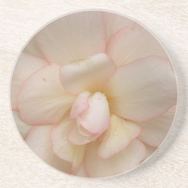 Untersetzer für Begonia-Blume (Vorne)