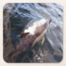 Untersetzer für die gemeinsame Dolphin-Oberfläche