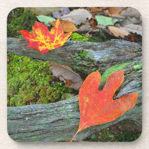 Untersetzer für Herbstleaf