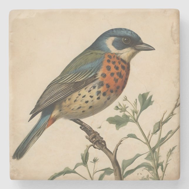 Untersetzer für Vintage Vogeldrucksteine (Vorderseite)