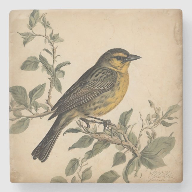 Untersetzer für Vintage Vogeldrucksteine (Vorderseite)