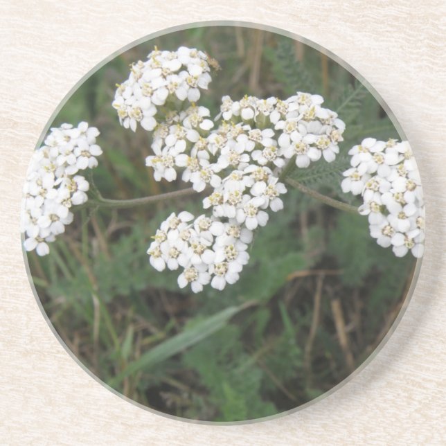Untersetzer für weiße Wildblumen (Vorne)