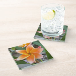 Untersetzer, Glas - Plumeria Glasuntersetzer