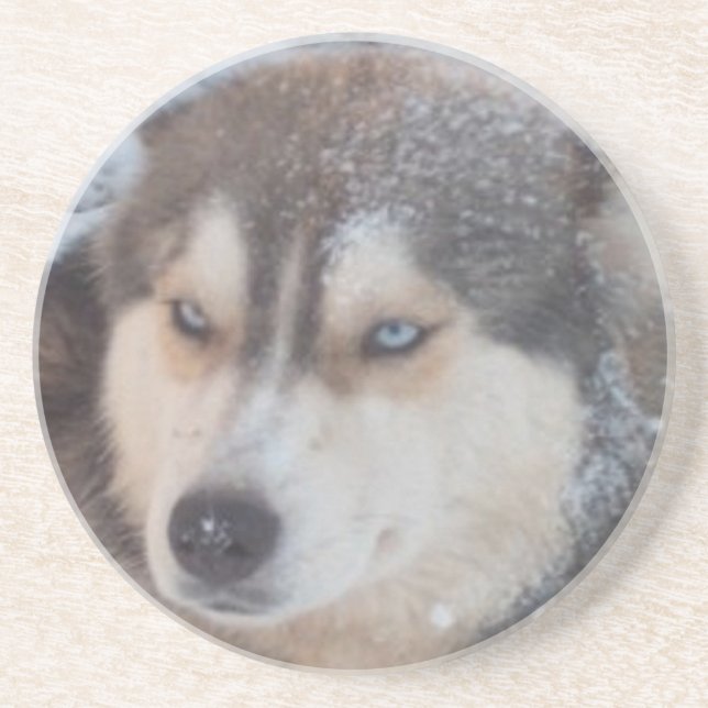 Untersetzer Husky (Vorne)