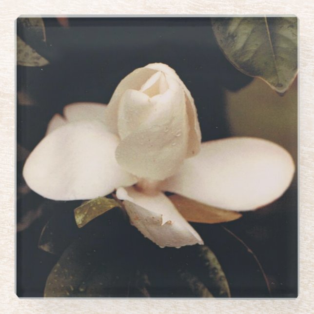 Untersetzer mit Magnolia Blossom Design (Vorderseite)