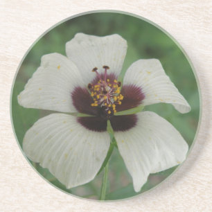Untersetzer mit weißer und Lila Passionsblume