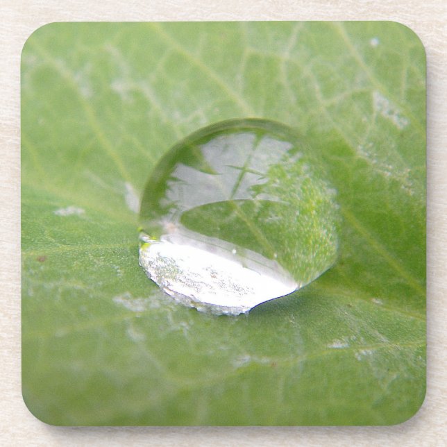 Untersetzer riesiger Wasserfall auf grünem Blatt (Vorderseite)