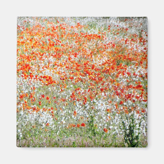 Untersetzer Rote und Weiße Blume Magnet (Vorne)