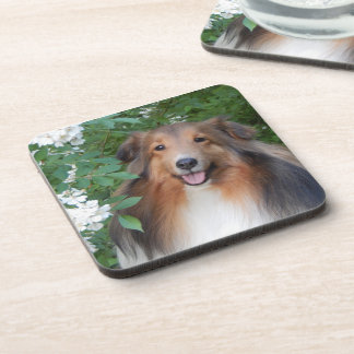Untersetzer - Set 6 - mit Sheltie