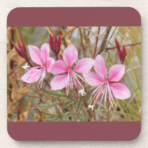 Untersetzer Set - Pink Guara