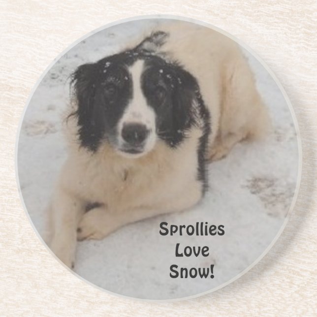 Untersetzer Sprollie im Schnee (Vorne)