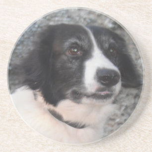 Untersetzer Sprollie Lächeln