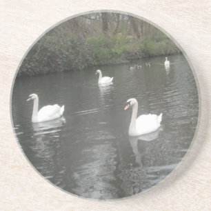 Untersetzer Swans Schwimmen