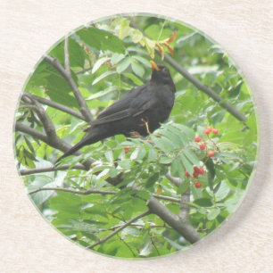 Untersetzer von Blackbird und Berries