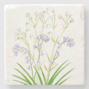 Untersetzer von Bluebells und Heftkraut