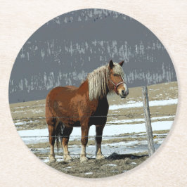 Untersetzer von Paddock-Pferdepferden in Belgien