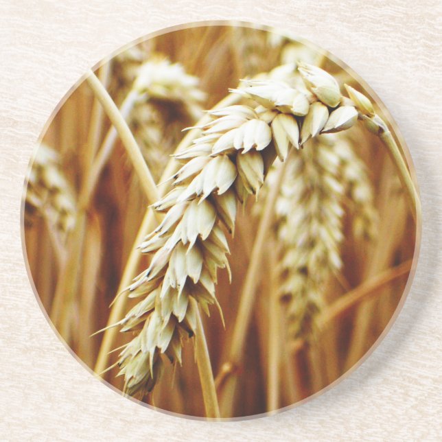 Untersetzer von Weizenfeldern (Vorne)