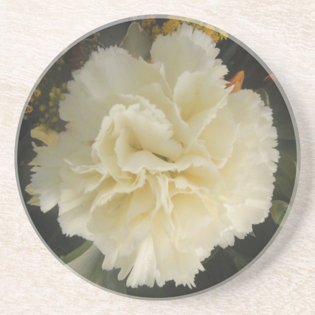 Untersetzer White Carnation Beauty (Vorne)