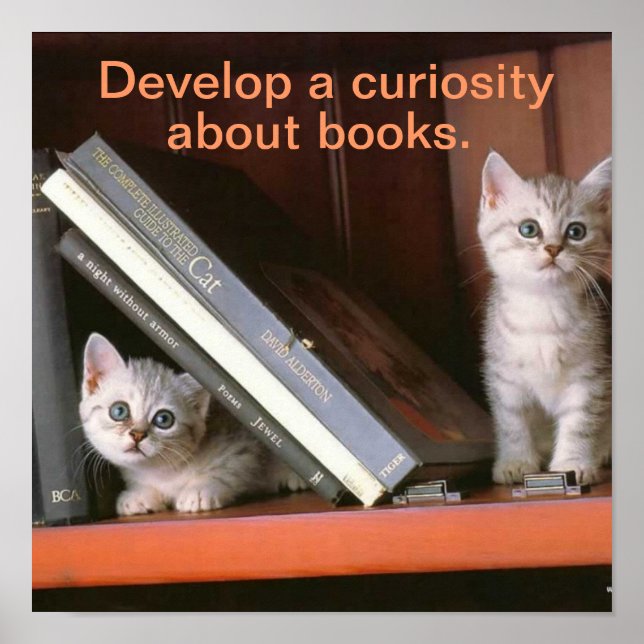 Unterstützendes Literaturplakat Poster (Vorne)