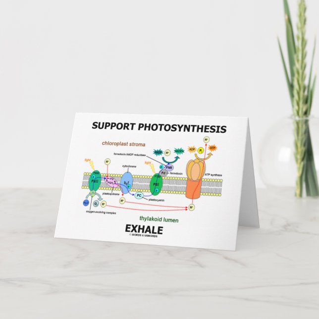 Unterstützung der Fotosynthese-Exhale (Biochemie-S Karte (Vorderseite)