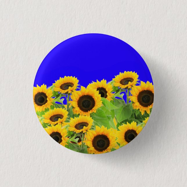 Unterstützung für die Schaltfläche "Ukraine Flag C Button (Vorderseite)