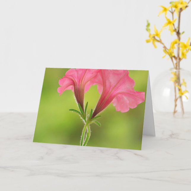 Unterstützung von Brustkrebs Rosa Petunia Karte (Gelbe Blume)