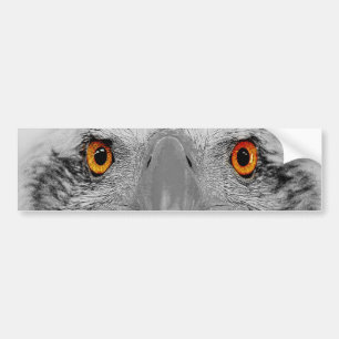 Untersuchen Sie meine Augen Autoaufkleber