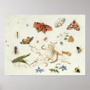 Untersuchung von Insekten und Blume Poster