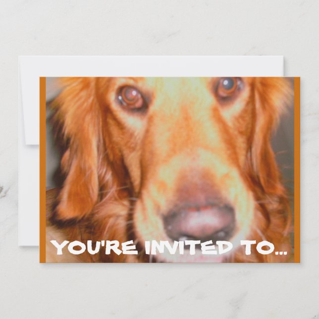 UNTERSUCHUNGEN DER BIRTHDAY-PARTEI DOGGIE EINLADUNG (Vorderseite)