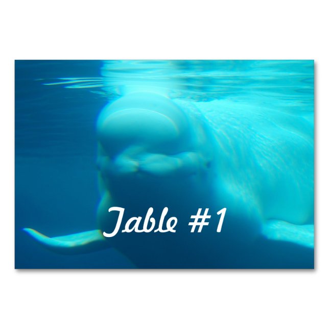 Unterwasser-Beluga-Whale Tischnummer (Vorderseite)