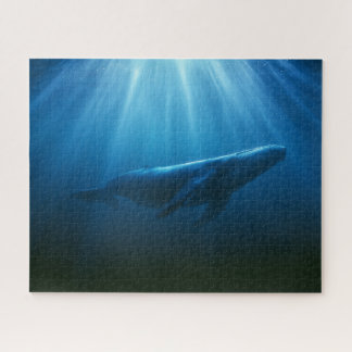 Unterwasser Buckelwal