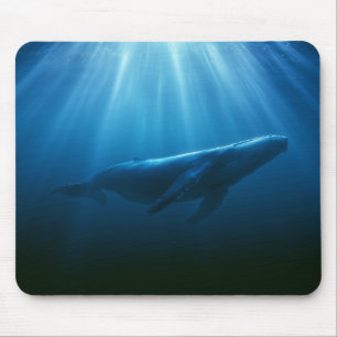 Unterwasser Buckelwal Mousepad