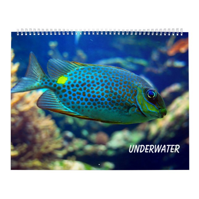 Unterwasser Kalender (Titelbild)