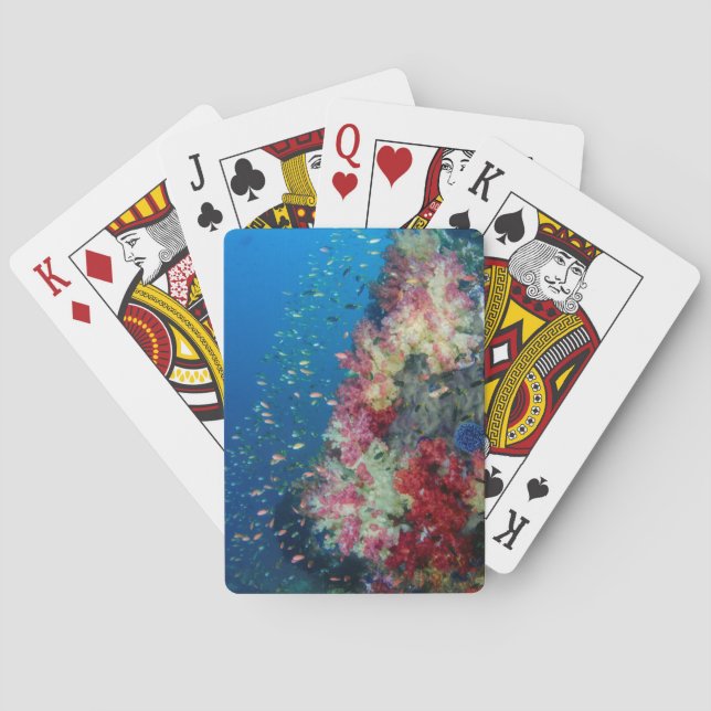 Unterwasser-Korallenriff, Indonesien Spielkarten (Rückseite)