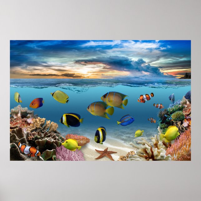 Unterwasser-Korallenriff tropische Fische Poster (Vorne)