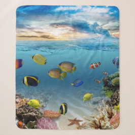 Unterwasser-Korallenriff tropische Fische Sherpadecke