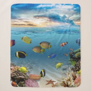 Unterwasser-Korallenriff tropische Fische Sherpadecke