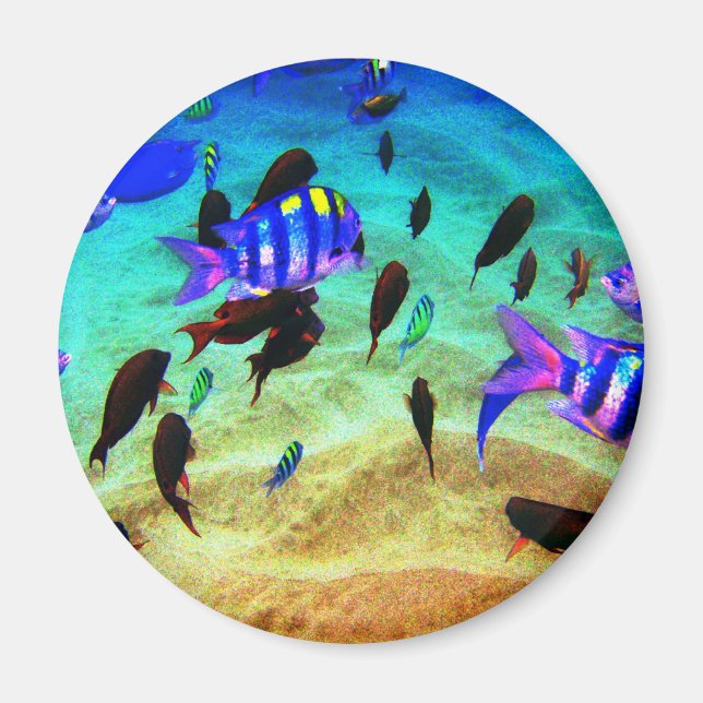 Unterwasser Magnet (Vorne)