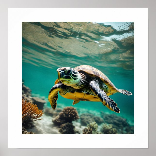 Unterwasser-Meeresschildkröte-Poster Poster (Vorne)