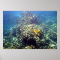 Unterwasser-Meereswelt Fotobuch drucken