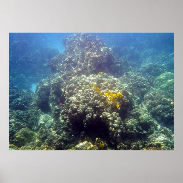 Unterwasser-Meereswelt Fotobuch drucken Poster (Vorne)