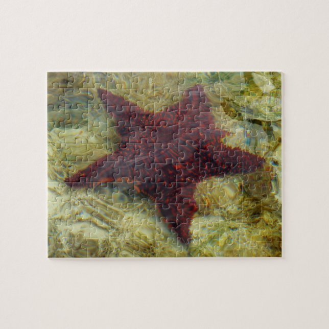 Unterwasser-Starfish auf den Bahamas (Horizontal)