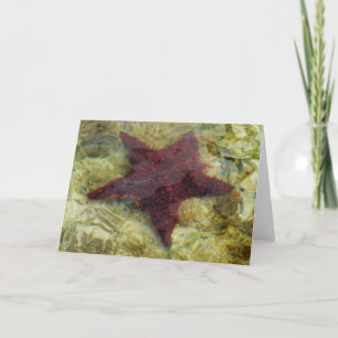 Unterwasser-Starfish auf den Bahamas Karte