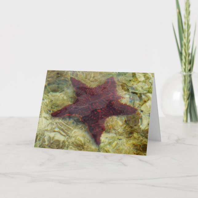 Unterwasser-Starfish auf den Bahamas Karte (Vorderseite)