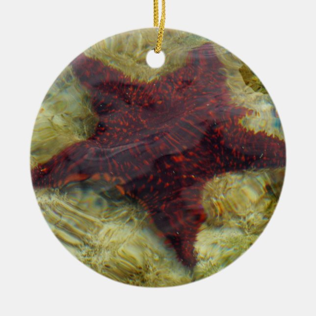 Unterwasser-Starfish auf den Bahamas Keramikornament (Vorne)
