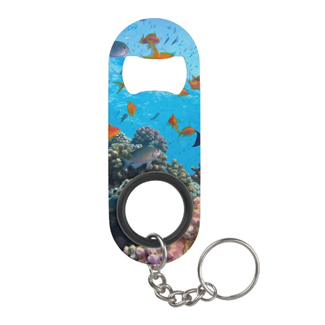 Unterwasser-tropische Fischwelt Mini Flaschenöffner (Rückseite)