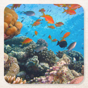 Unterwasser-tropische Fischwelt Rechteckiger Pappuntersetzer
