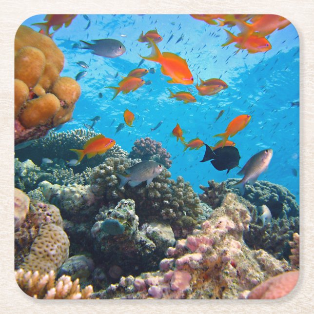 Unterwasser-tropische Fischwelt Rechteckiger Pappuntersetzer (Vorderseite)
