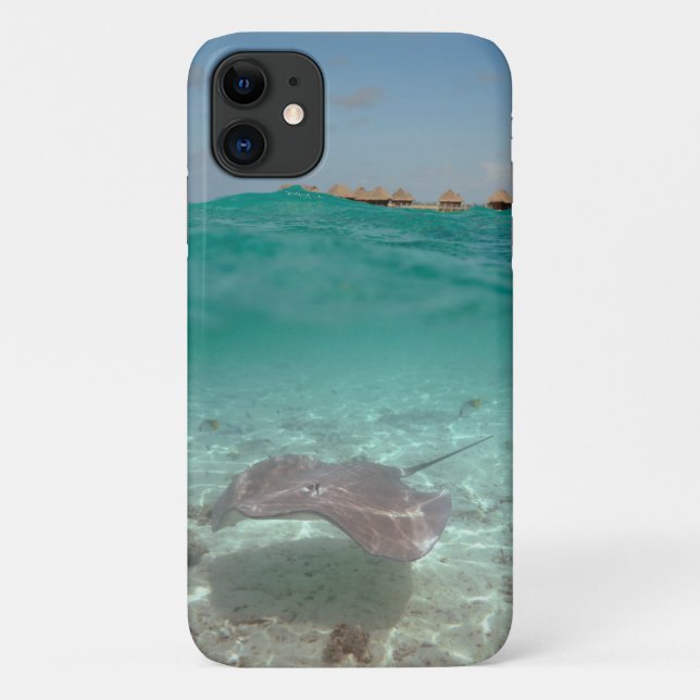 Unterwasser von Rochen Case-Mate iPhone Hülle (Rückseite)
